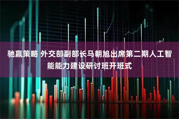 驰赢策略 外交部副部长马朝旭出席第二期人工智能能力建设研讨班开班式