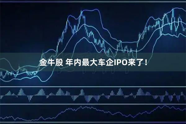 金牛股 年内最大车企IPO来了！