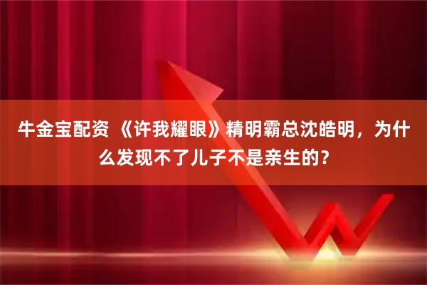 牛金宝配资 《许我耀眼》精明霸总沈皓明，为什么发现不了儿子不是亲生的？