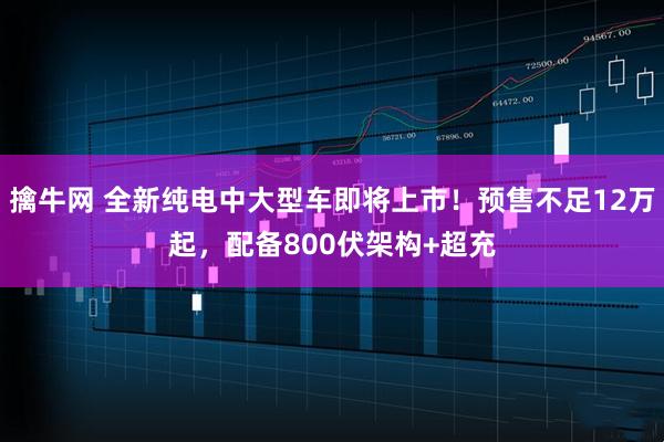 擒牛网 全新纯电中大型车即将上市！预售不足12万起，配备800伏架构+超充