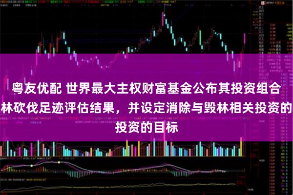粤友优配 世界最大主权财富基金公布其投资组合的森林砍伐足迹评估结果，并设定消除与毁林相关投资的目标
