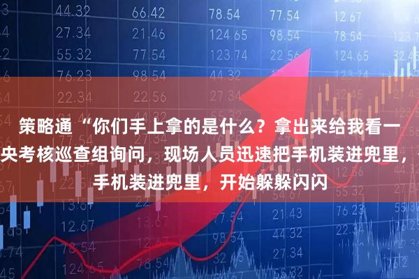 策略通 “你们手上拿的是什么？拿出来给我看一下！”面对中央考核巡查组询问，现场人员迅速把手机装进兜里，开始躲躲闪闪