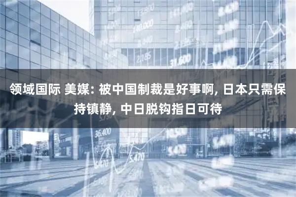 领域国际 美媒: 被中国制裁是好事啊, 日本只需保持镇静, 中日脱钩指日可待